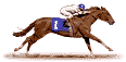 Caballos