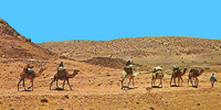SAHARA OCCIDENTAL